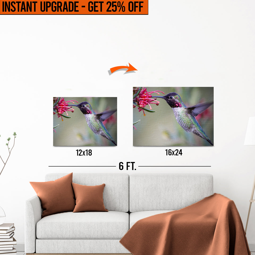 12x18 inçlik 'Hummingbird Spring' Tuvalinizi 16x24 inçe yükseltin